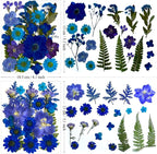 132Pcs Blue Pressed Dried Flowers and Butterfly - Image 5