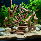 20 Pcs Natural Driftwood Pieces Branch Slices Craft Sticks Beach Decor - Image 4