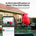 HEAPETS Bird Feeder with Camera Solar Powered, 3K HD Video, AI Bird Recognition - Image 3