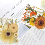 34 Types 60PCS Real Dried Pressed Flowers Leaf Plant Herbarium - Image 5