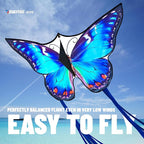 SGftre Beautiful Butterfly Kites - Image 3