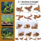 Natural Driftwood Decor for Aquarium Decorations Reptile Tank Accessories - Image 6