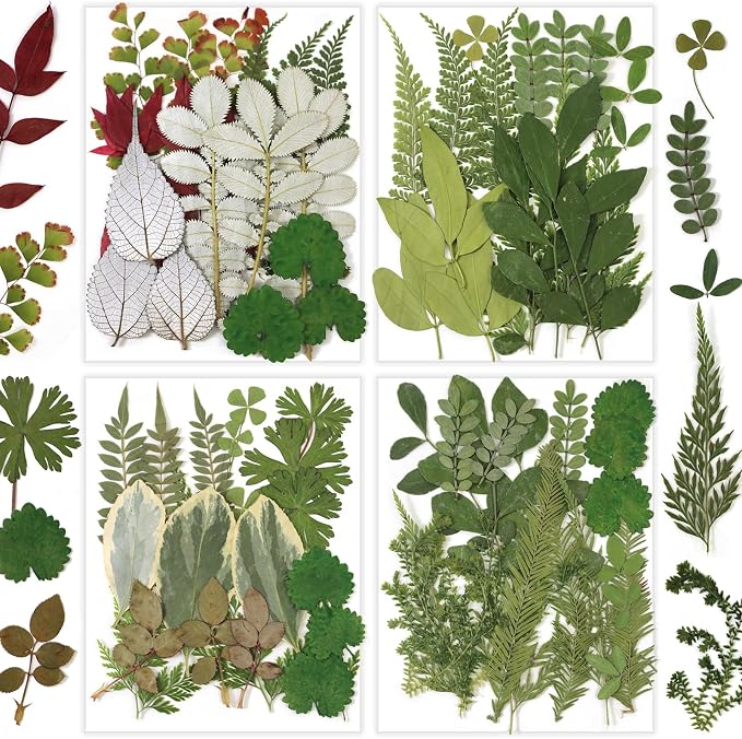 84 Pcs Dried Pressed Leaves Flowers Real Natural Dried Leaves Plant Kit by Unknown