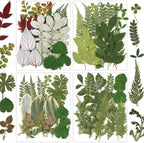84 Pcs Dried Pressed Leaves Flowers Real Natural Dried Leaves Plant Kit by Unknown