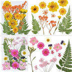 Dried Flowers for Resin | 68pcs Bulk Real Natural Pressed Flowers for DIY Art - Image 6
