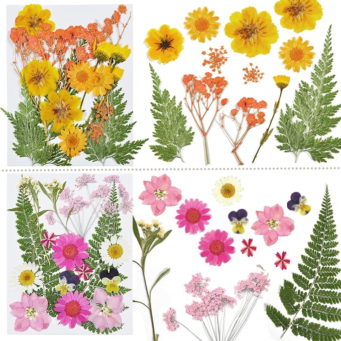 Dried Flowers for Resin | 68pcs Bulk Real Natural Pressed Flowers for DIY Art - Image 6