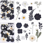 115Pcs Black Dried Pressed Flowers - Image 3