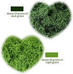 Fake Moss for Plants Indoor, 3.5OZ Dual-Color Artificial Moss for Crafts - Image 4
