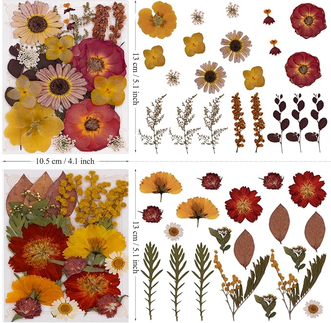 82Pcs Dried Pressed Flowers for Resin Molds, Real Vintage White Natural Bulk - Image 7