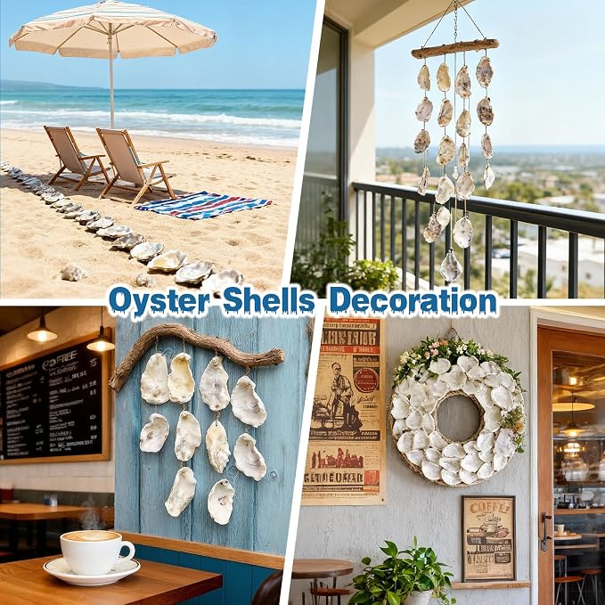 30Pcs Oyster Shells for Crafts 3"- 4" Natural Oyster Shells for DIY Crafting - Image 6