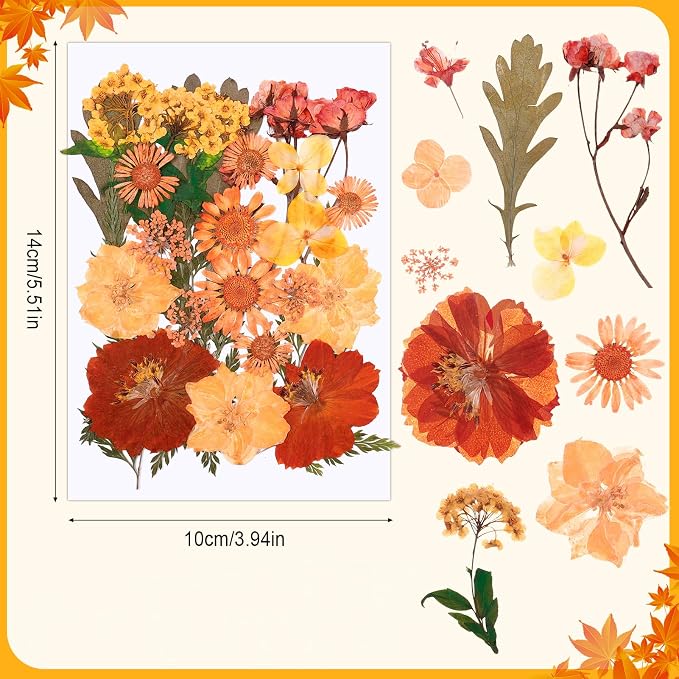100 Pcs Fall Dried Pressed Flowers, Real Orange Dried Wildflowers Leave - Image 6