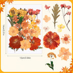 100 Pcs Fall Dried Pressed Flowers, Real Orange Dried Wildflowers Leave - Image 6