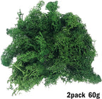 Cayway 83 PCS Fairy Garden Accessories Outdoor, Fairy Supplies Micro Landscape - Image 4