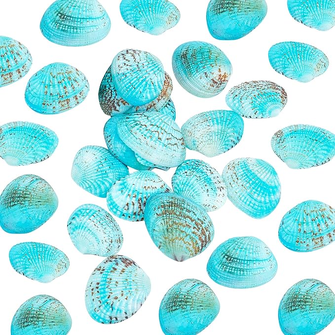PH PandaHall 35pcs Blue Natural Seashell Bead, 32~37mm Undrilled Dyed Scallop by PHPandaHall