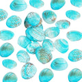 PH PandaHall 35pcs Blue Natural Seashell Bead, 32~37mm Undrilled Dyed Scallop by PHPandaHall