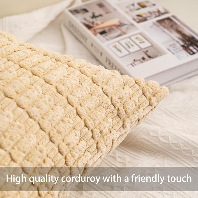 Aegero Pack of 2 Corduroy Decorative Throw Pillow Covers 16x16 Inch Soft - Image 2