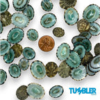 Sea Shells for Crafting, jewelry making, decoration, centerpieces, vase filler - Image 8