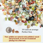 FANTIAN 10 lbs Small Succulent Rocks, 3/8 Inch Colorful Polished Pebbles - Image 2