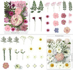 LUXEEASE 4-Color 80P Natural Dried Pressed Flowers | Orange purple pink white - Image 3