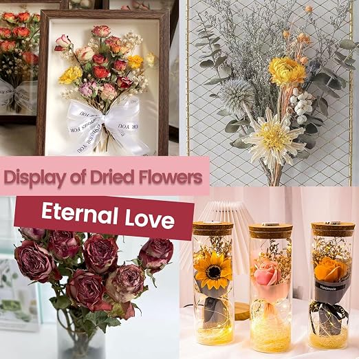 Wisesorb Silica Gel Flower Drying, Silica Gel Flower Drying Crystals, Color - Image 6
