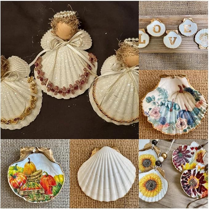 SEAJIAYI 30 PCS Scallop Shells 2-3 Inch Natural White Sea Shells from Sea Beach - Image 2