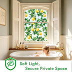 SOMWISE Frosted Glass Window Privacy Film - Image 3