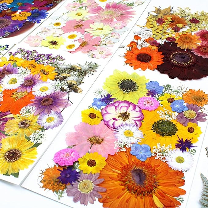 35Pcs Dried Pressed Flowers for Crafts Resin DIY Art Natural Dry Floral Large - Image 3