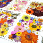 35Pcs Dried Pressed Flowers for Crafts Resin DIY Art Natural Dry Floral Large - Image 3