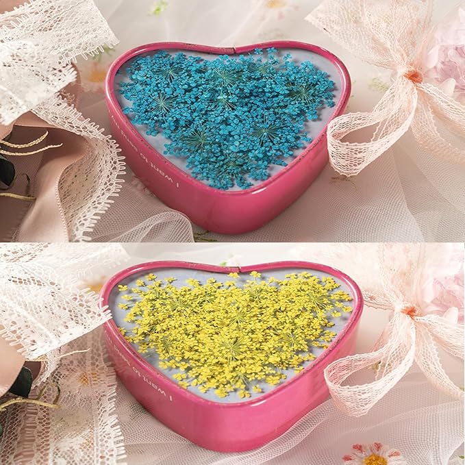 60 Pcs Dried Pressed Flowers for Resin DIY Art Crafts Natural Dry Floral Epoxy - Image 4