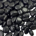 FANTIAN 5 lbs Black Pebbles for Indoor Plants, 1-2 Inch Decorative Black River by FANTIAN-GardeningMakesLifeBetter