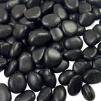FANTIAN 10 lbs Black Rocks Pebbles by FANTIAN-GardeningMakesLifeBetter