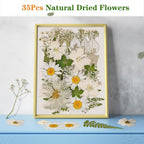 White Dried Pressed Flowers for Crafts, Real Natural Dried Flowers and Leaves - Image 4