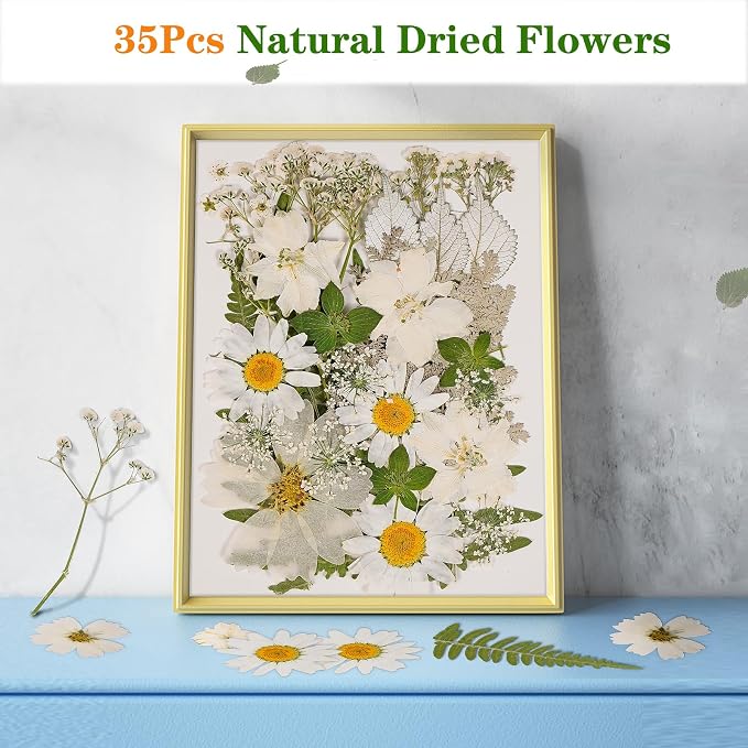 White Dried Pressed Flowers for Crafts, Real Natural Dried Flowers and Leaves - Image 4