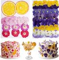 100 PCS Real Dried Pressed Flowers, Mix Natural Dried Pansy Citrus by AHTONG
