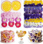 100 PCS Real Dried Pressed Flowers, Mix Natural Dried Pansy Citrus by AHTONG