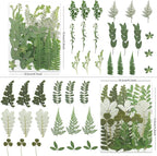 LUXEEASE 84P Earthy Green Dried Pressed Leaves | Fern eucalyptus leaves - Image 2