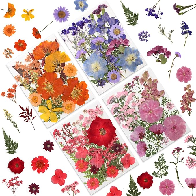 LUXEEASE 80P Vibrant Multicolor Dried Pressed Flowers | No matching needed by LUXEEASE