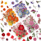 LUXEEASE 80P Vibrant Multicolor Dried Pressed Flowers | No matching needed by LUXEEASE