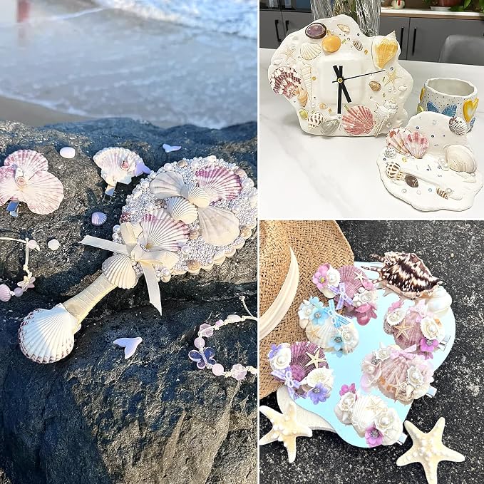 48 PCS Scallop Shells Natural Seashell, Fish Tank and Vase Filler - Image 4