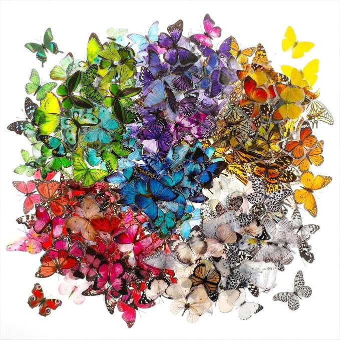 COMNICO Butterfly Stickers PET Waterproof Transparent Colorful Resin Decals - Image 7