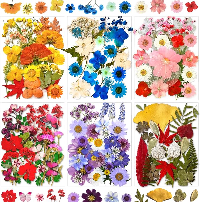 MIKIYA 150Pcs Dried Pressed Flowers by MIKIYA