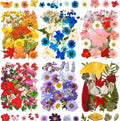 MIKIYA 150Pcs Dried Pressed Flowers by MIKIYA