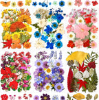 MIKIYA 150Pcs Dried Pressed Flowers by MIKIYA