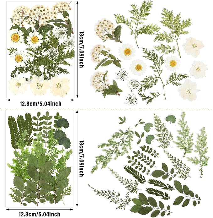 Nuanchu Dried Pressed Flowers for Craft Resin Real Flat Dried Flowers Leaves - Image 4