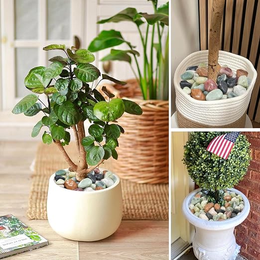 2.2 lb Pebbles for Indoor Plants, 1-2 Inch Decorative Rocks for Potted Plants - Image 5