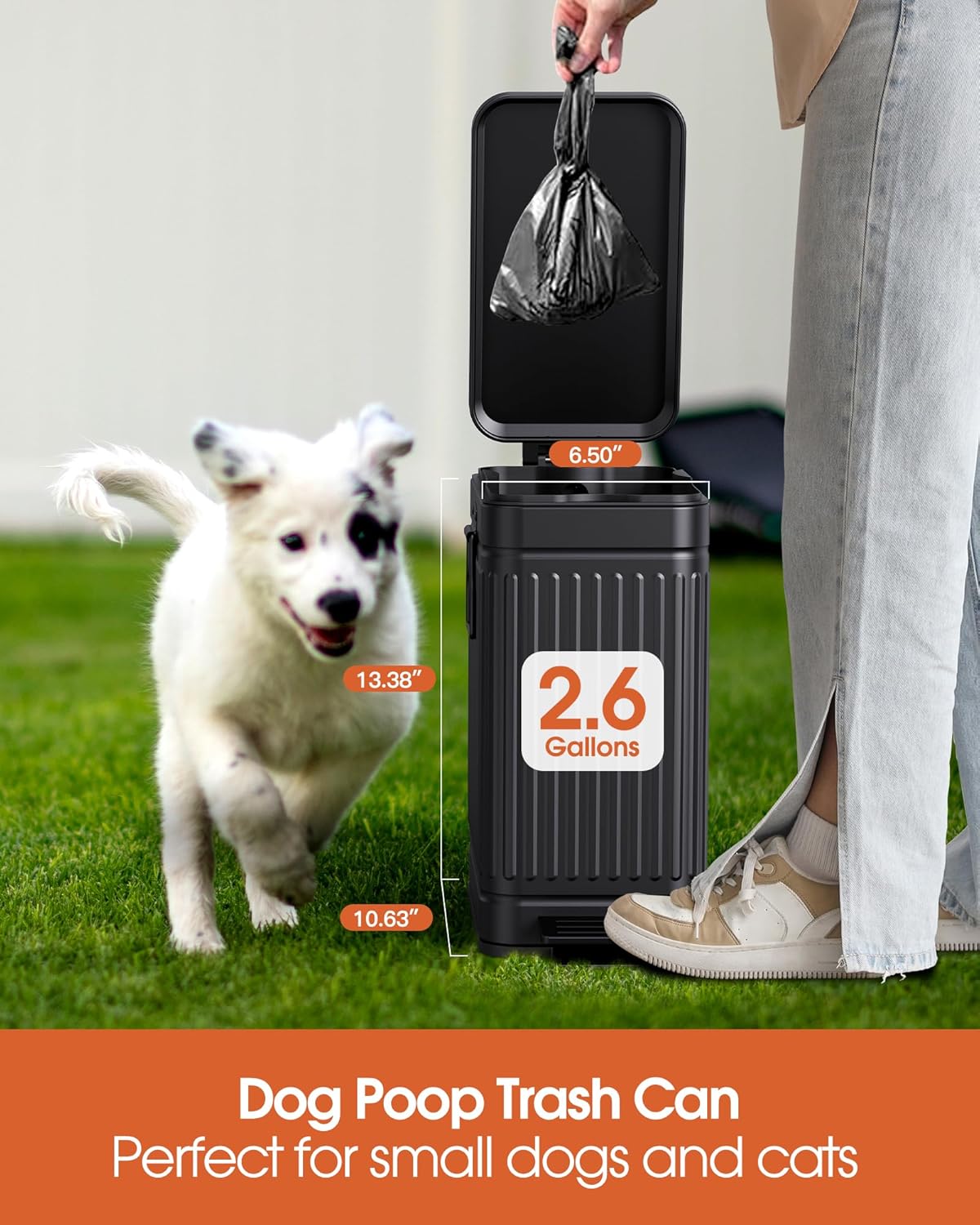 Small Trash Can with Lid Soft Close-10L/2.6 Gal Stainless Steel Outdoor Dog Poop Garbage Can-Metal Waste Bins with Pedal for Bathroom Bedroom Office-Black