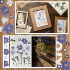Nuanchu Dried Pressed Flowers for Crafts Resin Real Flat Dried Flowers Leaves - Image 5