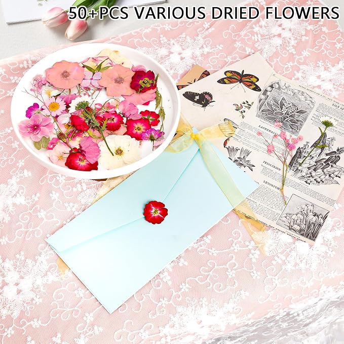 50Pcs Dried Pressed Flowers Real Pressed Flowers Natural Dry Leaves Bulk Mixed - Image 3