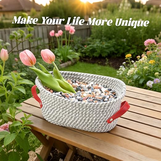 10 lb Mixed Color Pebbles for Plants, 3/8 Inch Decorative Rocks for Potted - Image 4