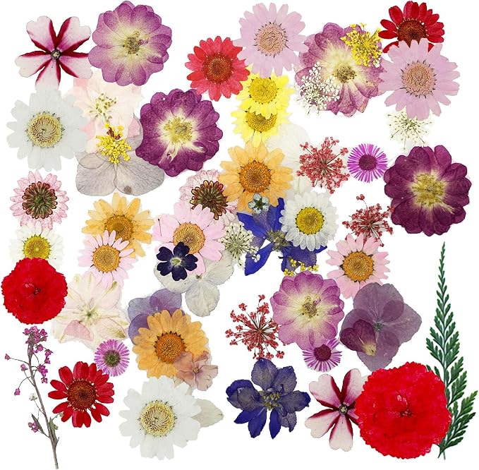 Woohome 160PCS Real Pressed Flowers, Dried Pressed Flowers Colorful Real - Image 2
